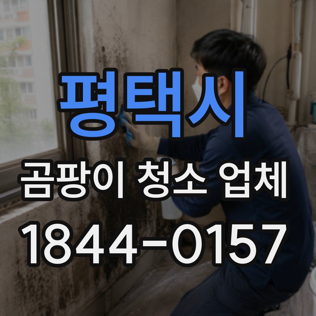 평택시 곰팡이 청소 업체