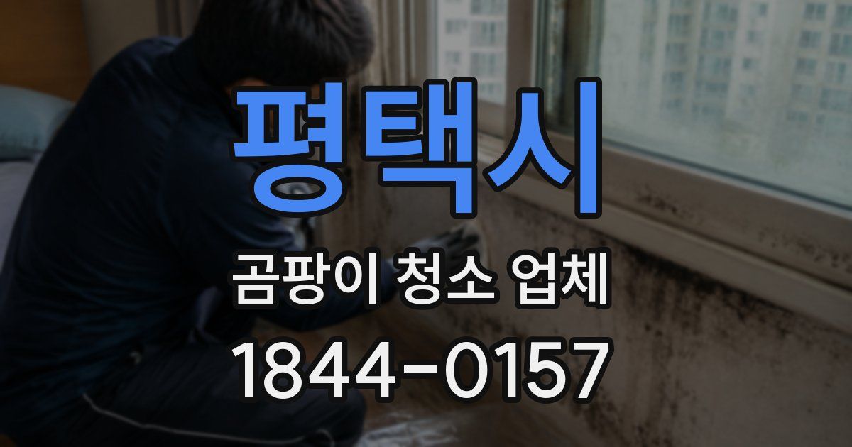평택시 곰팡이 청소 업체