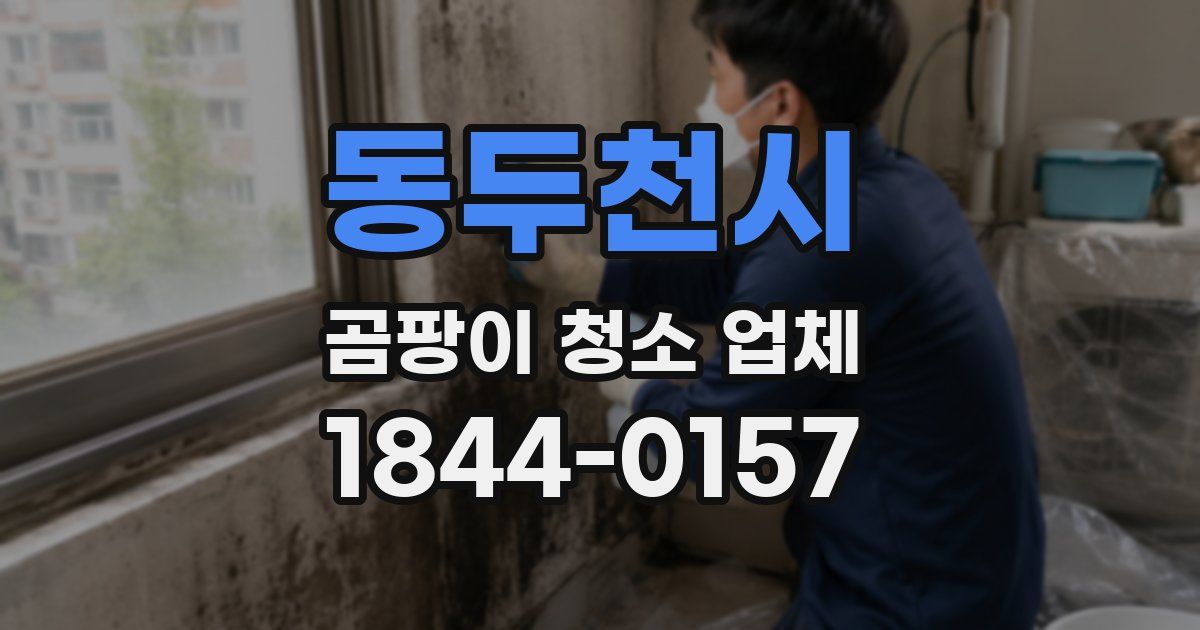 동두천시 곰팡이 청소 업체