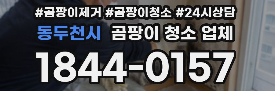 동두천시 곰팡이 청소 업체