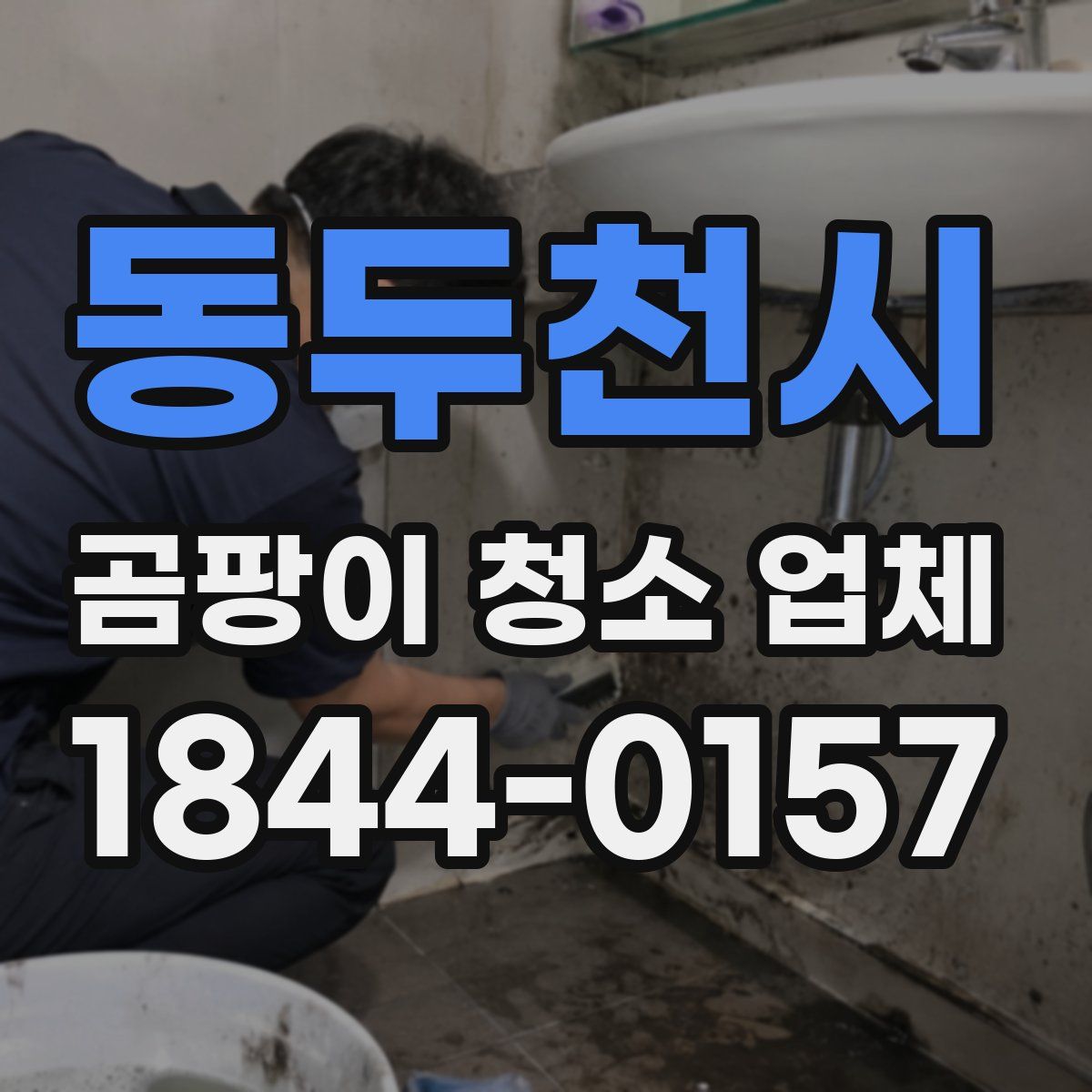 동두천시 곰팡이 청소 업체