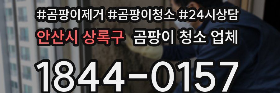 안산시 상록구 곰팡이 청소 업체