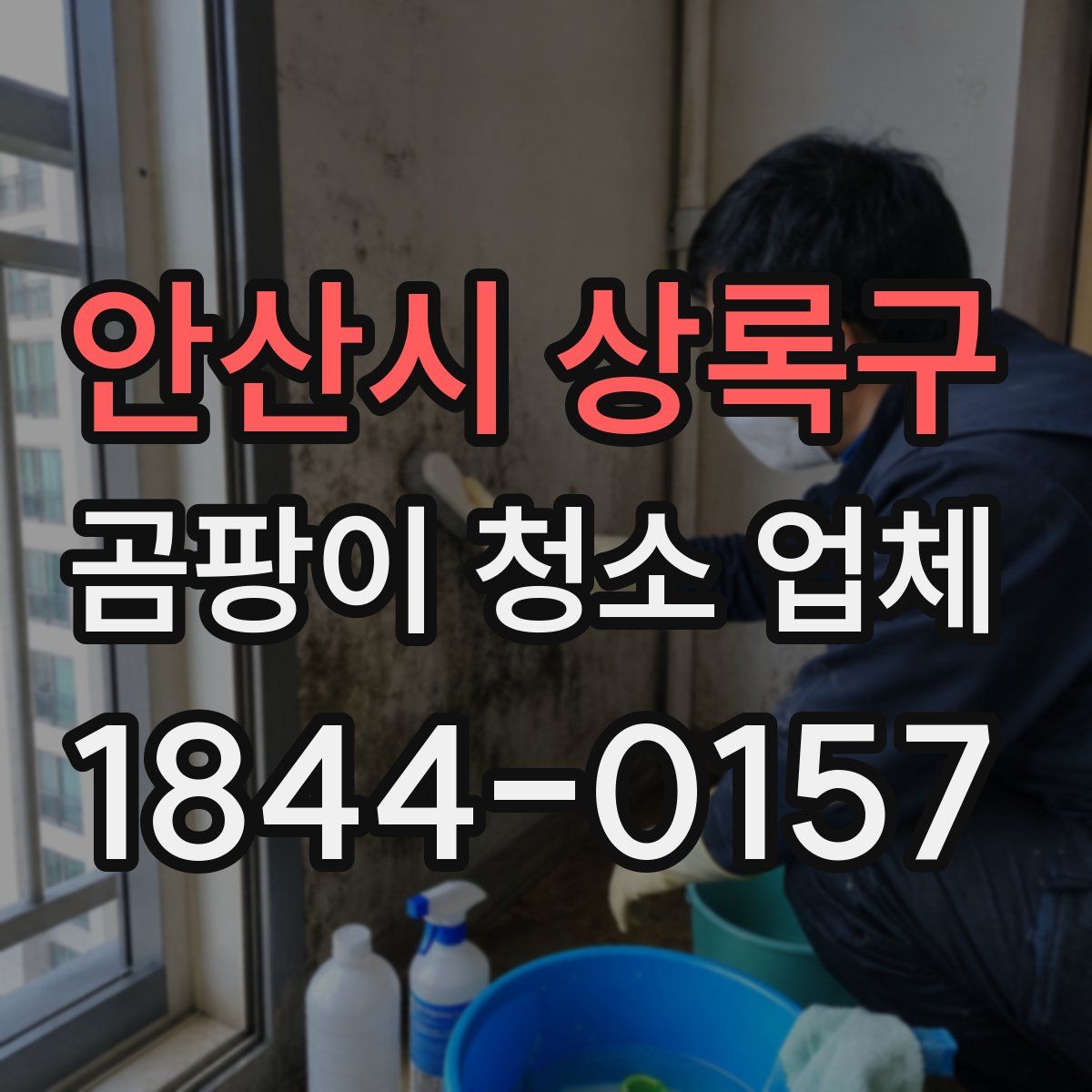 안산시 상록구 곰팡이 청소 업체