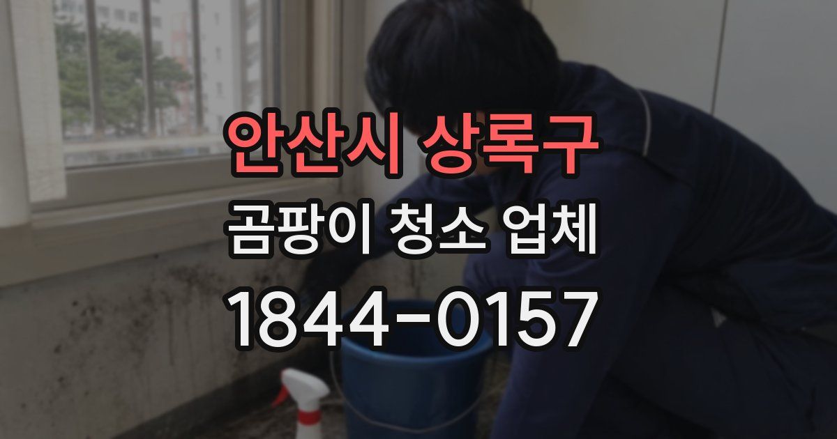안산시 상록구 곰팡이 청소 업체