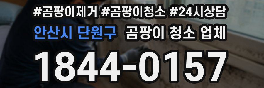 안산시 단원구 곰팡이 청소 업체