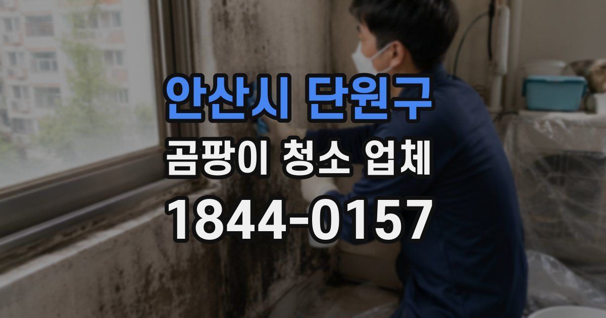 안산시 단원구 곰팡이 청소 업체
