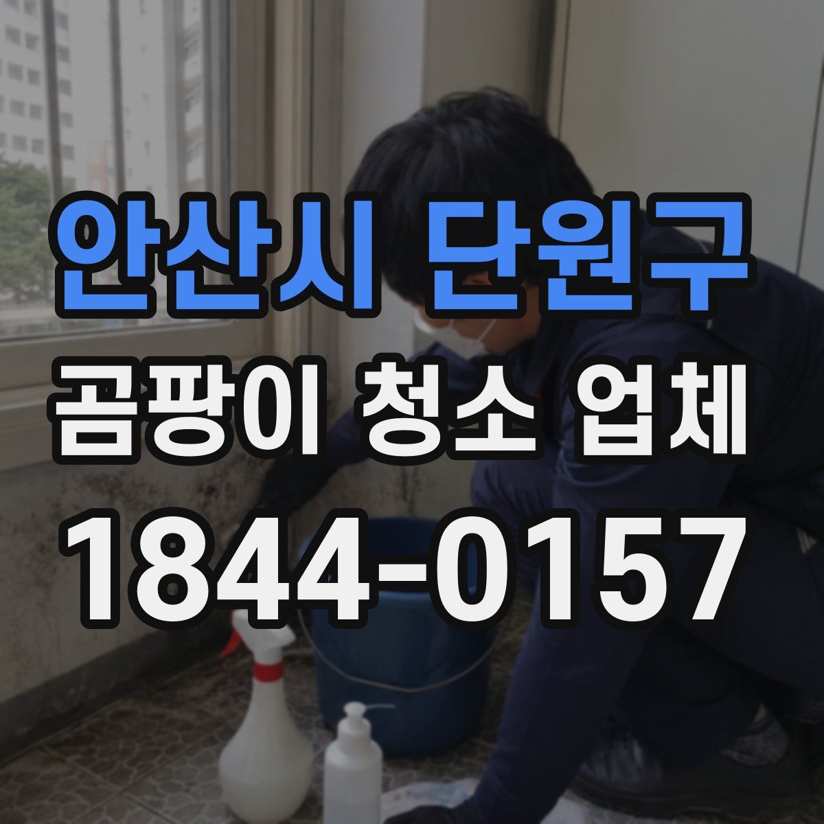 안산시 단원구 곰팡이 청소 업체