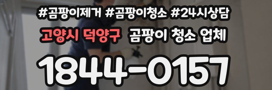 고양시 덕양구 곰팡이 청소 업체