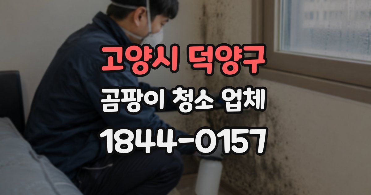 고양시 덕양구 곰팡이 청소 업체