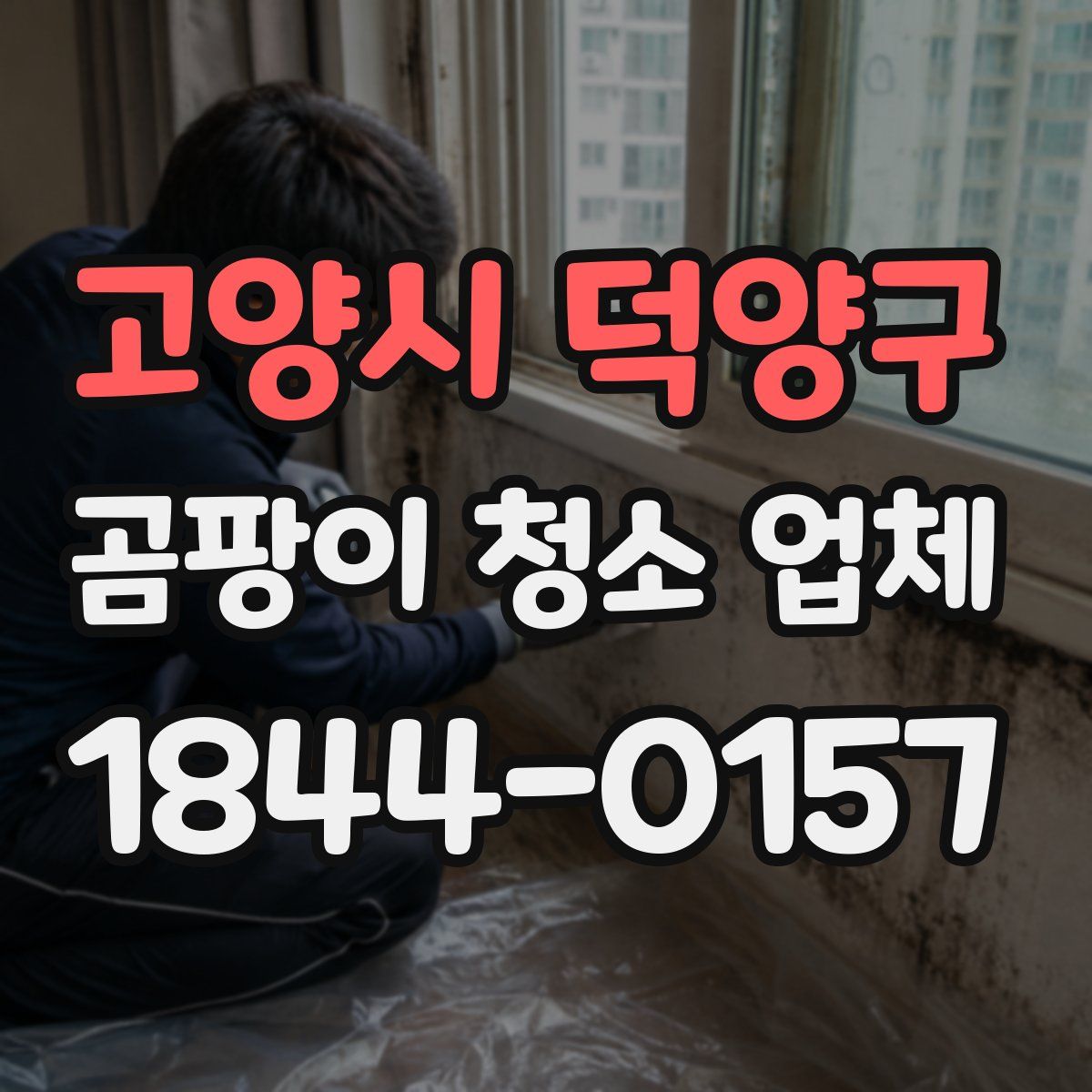 고양시 덕양구 곰팡이 청소 업체