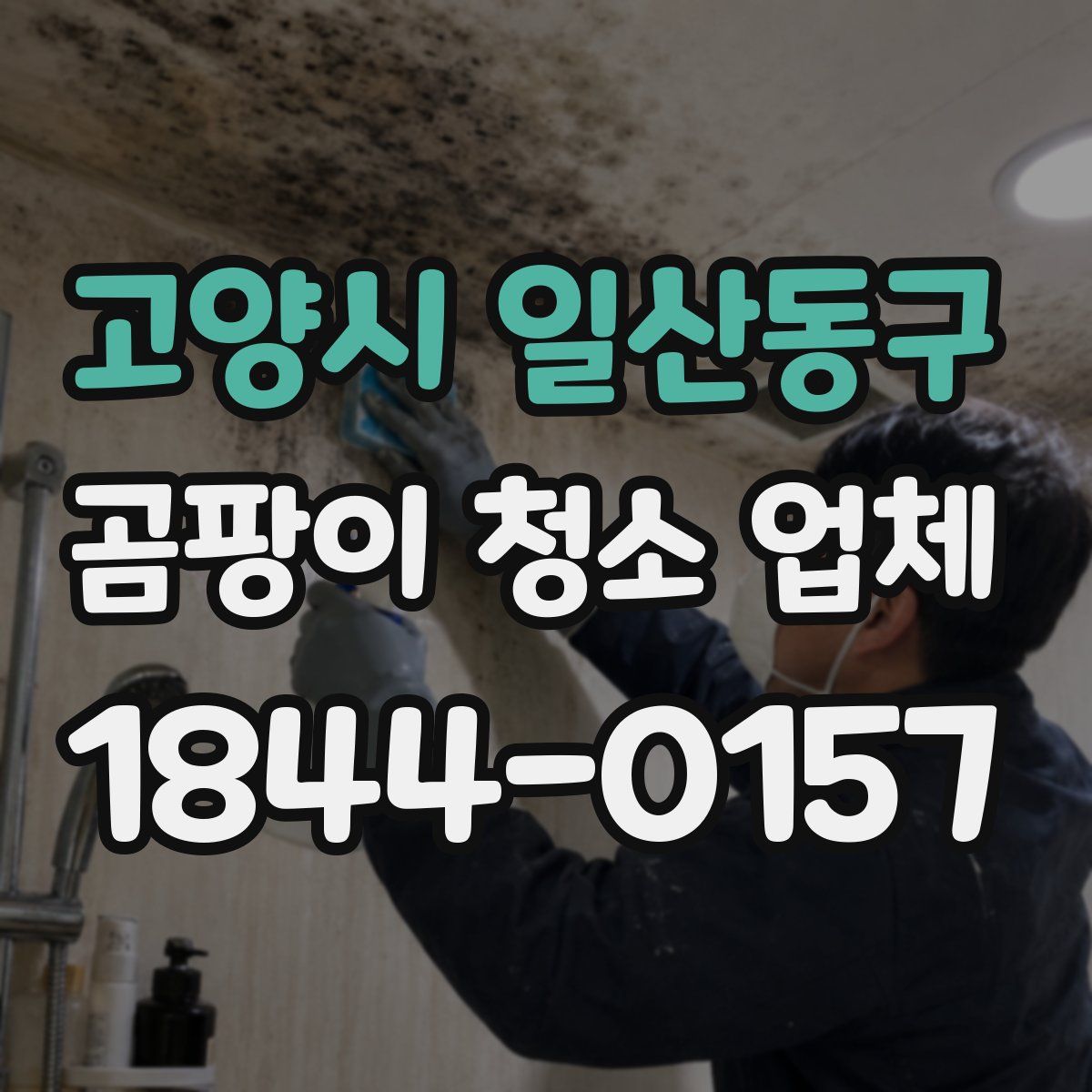 고양시 일산동구 곰팡이 청소 업체