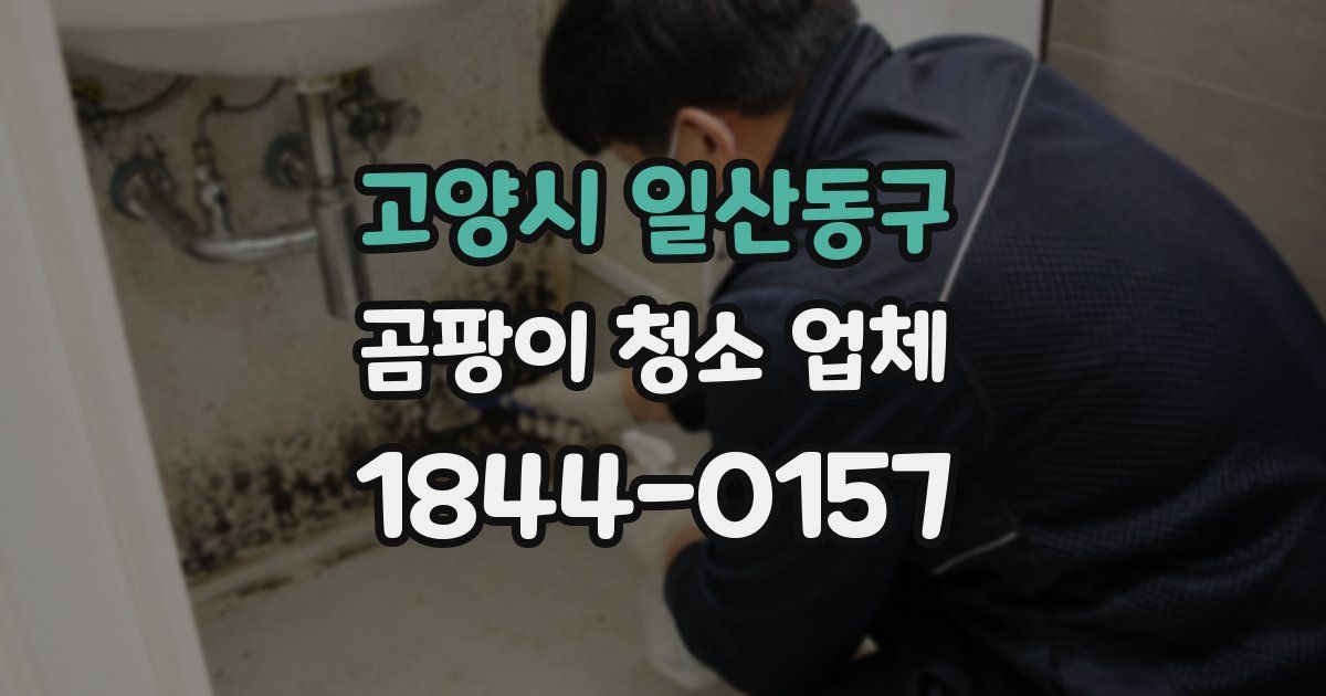 고양시 일산동구 곰팡이 청소 업체