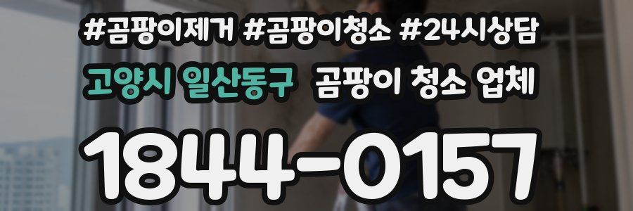 고양시 일산동구 곰팡이 청소 업체