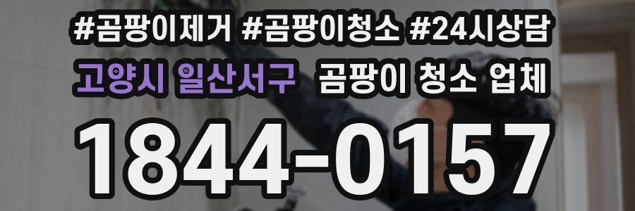고양시 일산서구 곰팡이 청소 업체