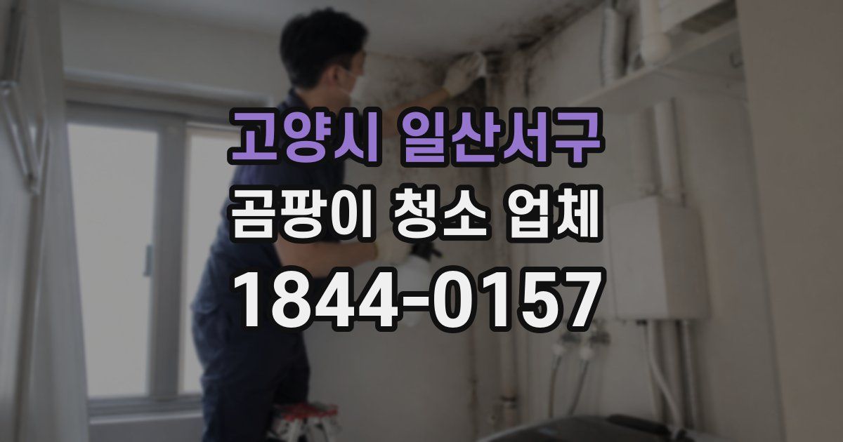 고양시 일산서구 곰팡이 청소 업체