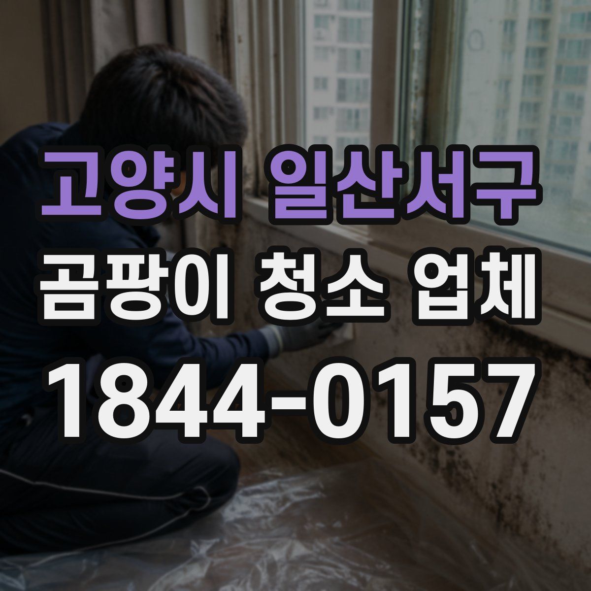 고양시 일산서구 곰팡이 청소 업체