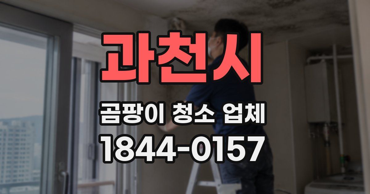 과천시 곰팡이 청소 업체