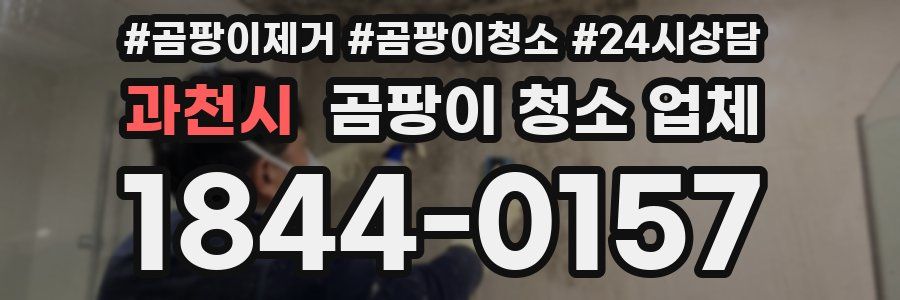 과천시 곰팡이 청소 업체