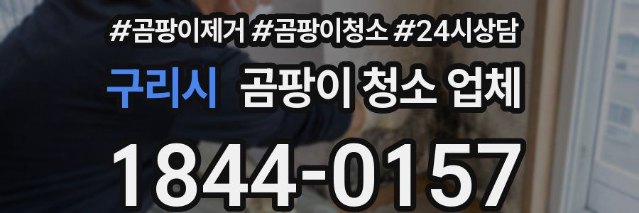 구리시 곰팡이 청소 업체