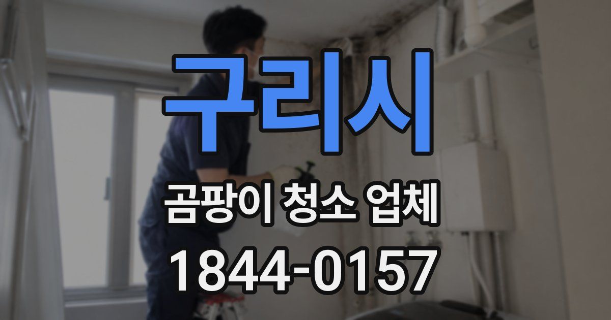 구리시 곰팡이 청소 업체