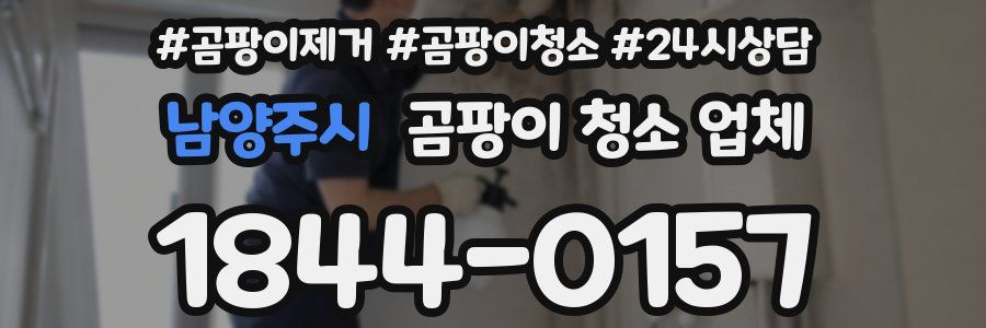 남양주시 곰팡이 청소 업체