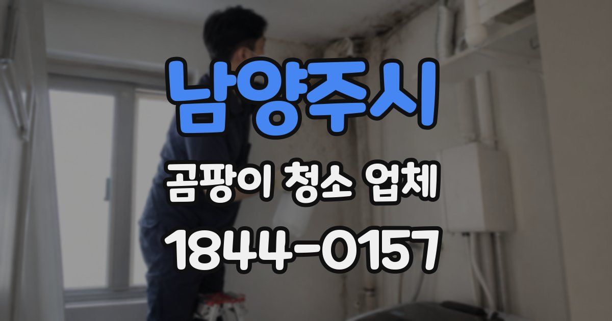 남양주시 곰팡이 청소 업체