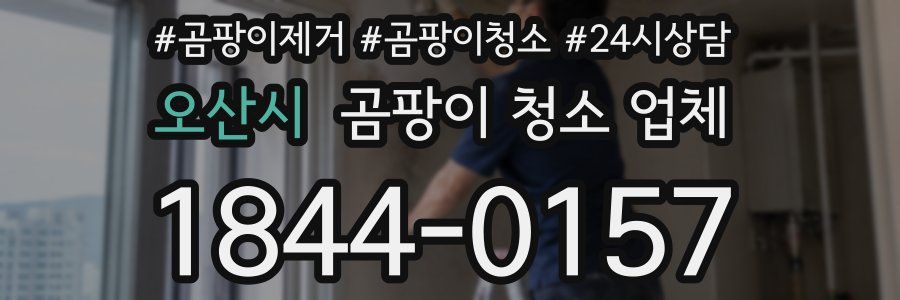 오산시 곰팡이 청소 업체