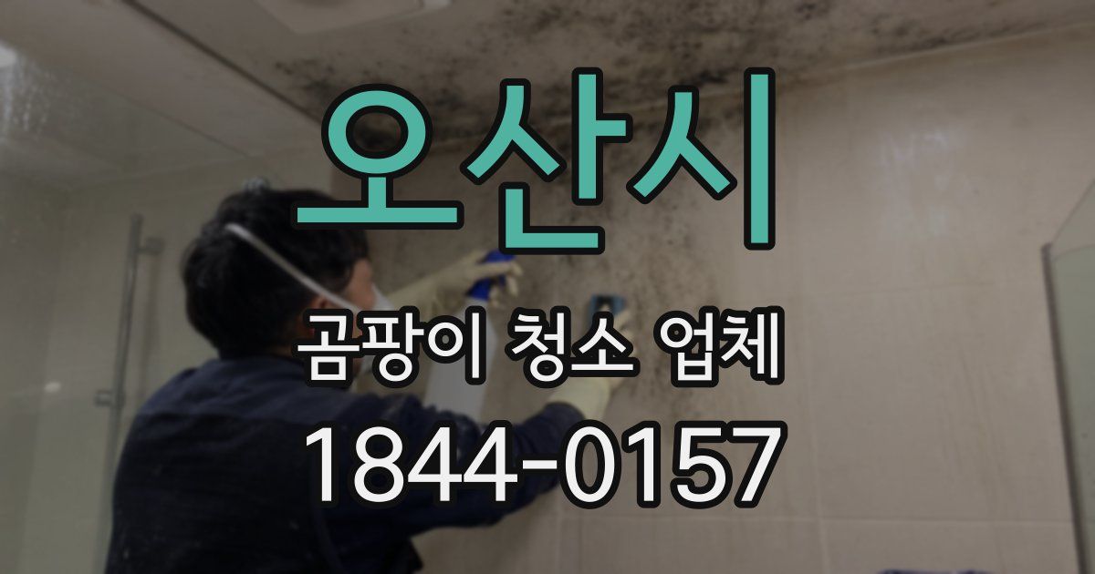 오산시 곰팡이 청소 업체
