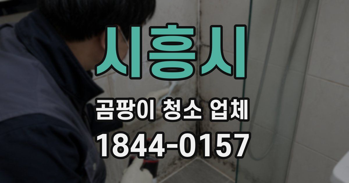 시흥시 곰팡이 청소 업체