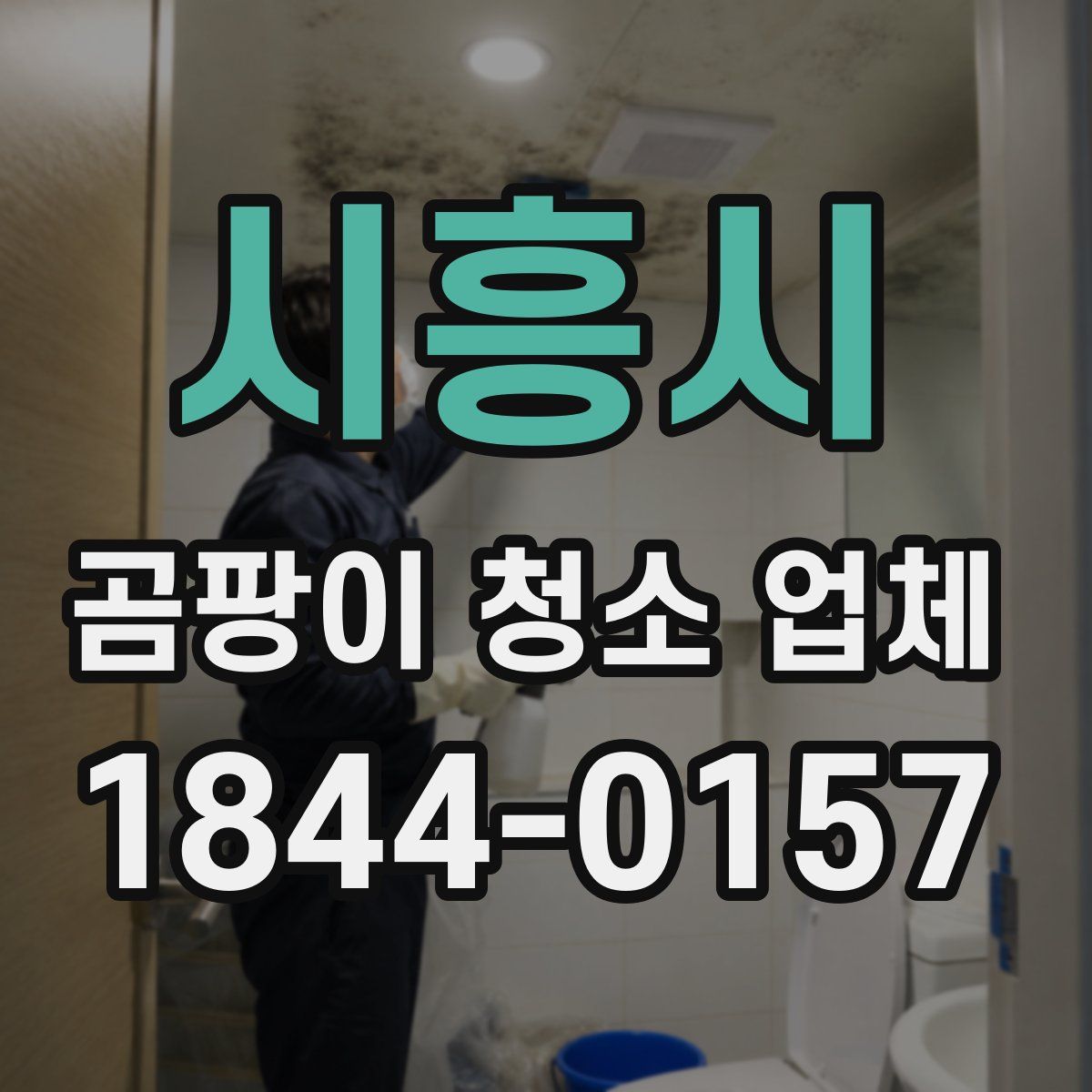 시흥시 곰팡이 청소 업체