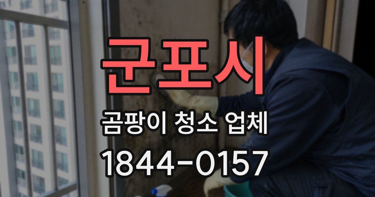 군포시 곰팡이 청소 업체