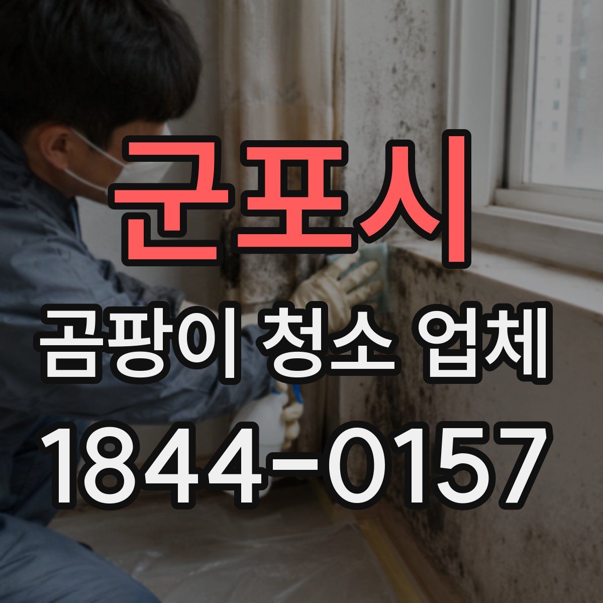 군포시 곰팡이 청소 업체