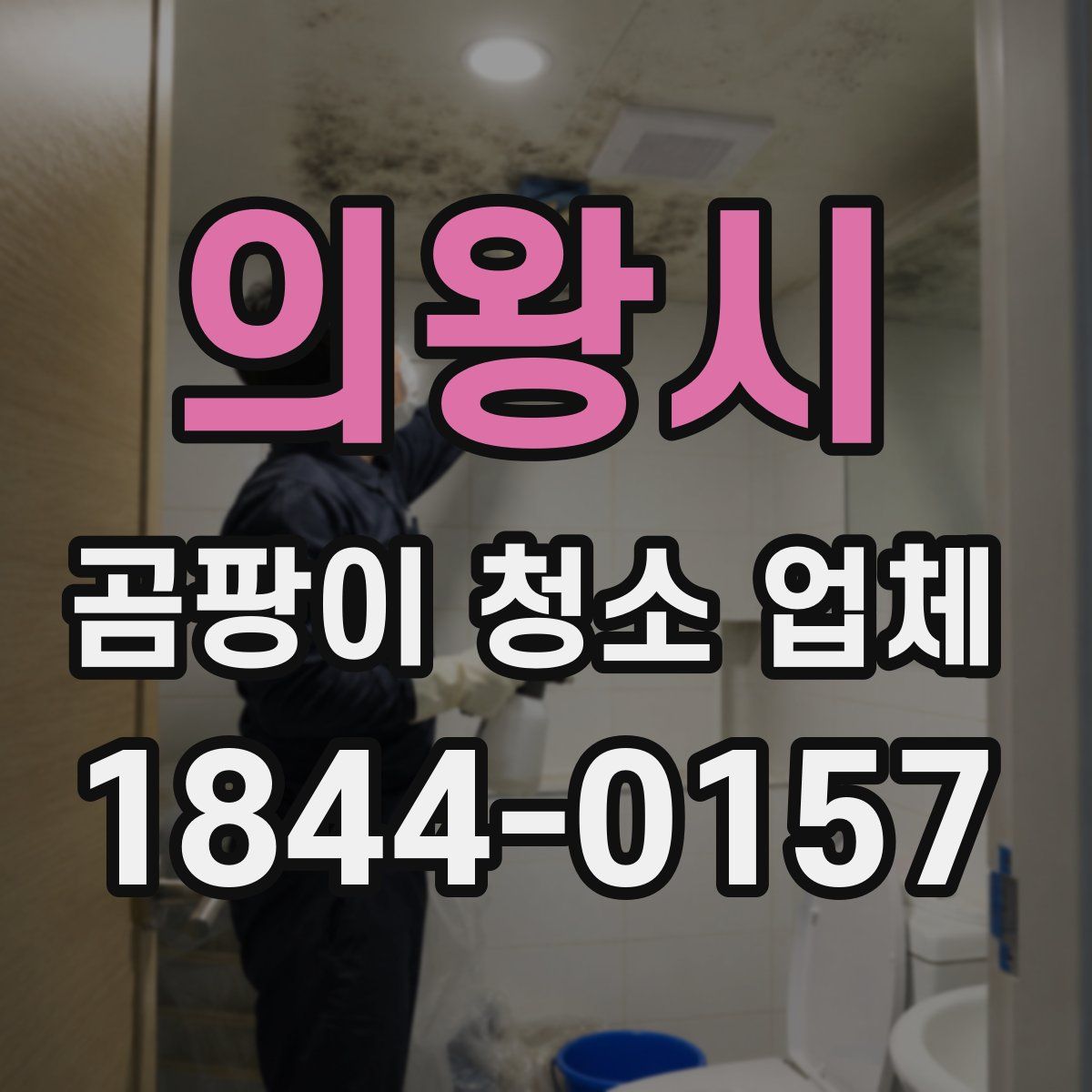 의왕시 곰팡이 청소 업체
