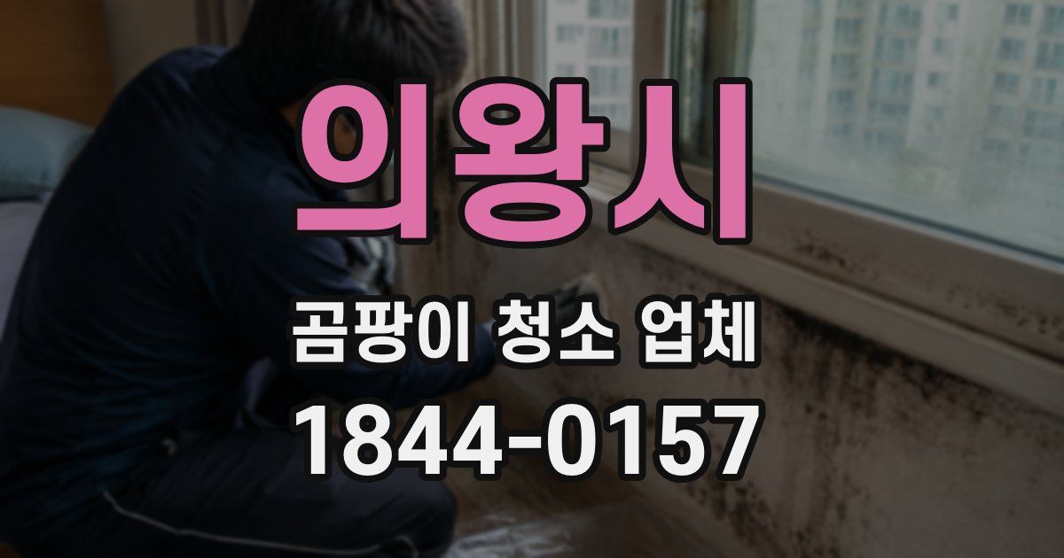 의왕시 곰팡이 청소 업체