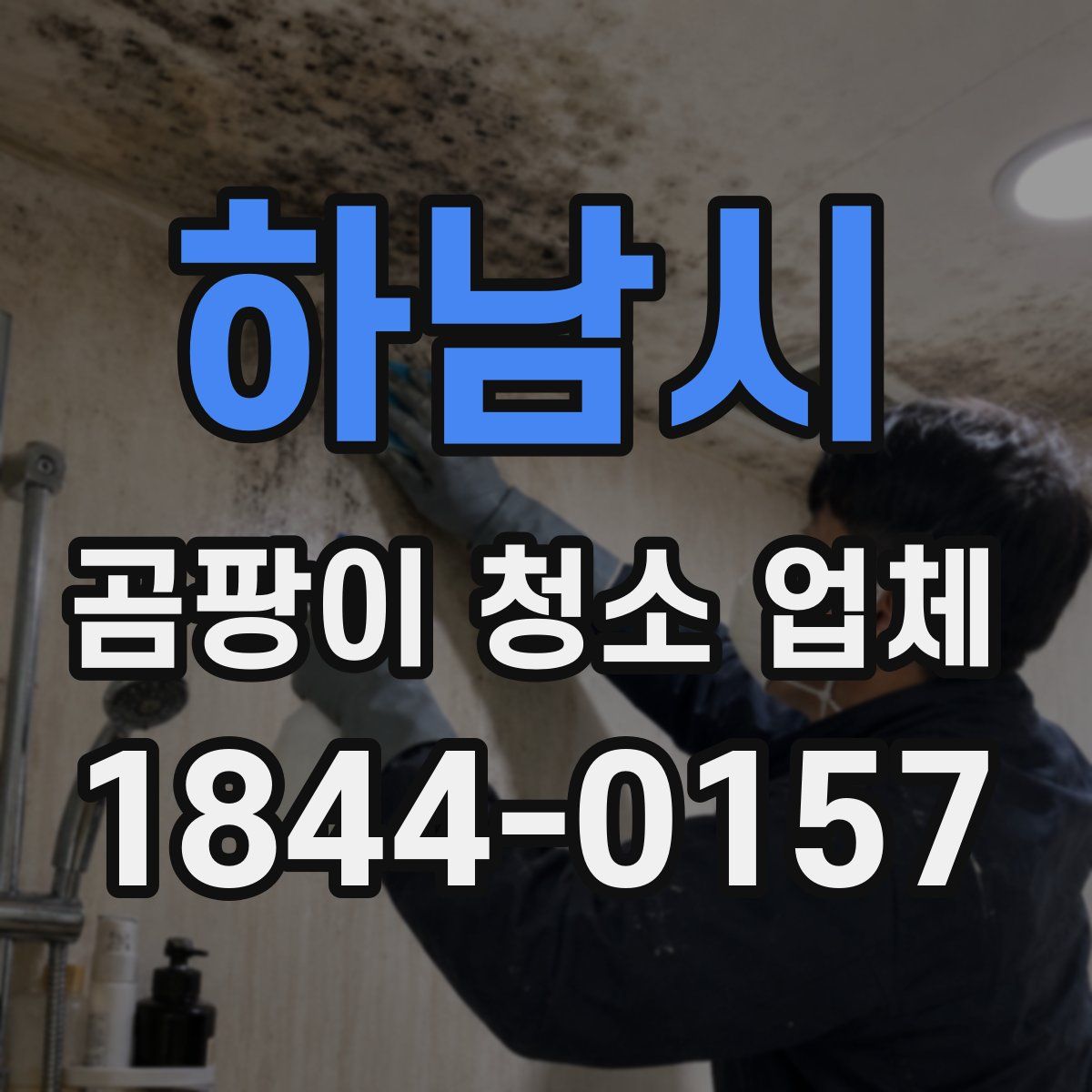 하남시 곰팡이 청소 업체