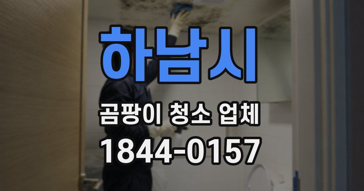 하남시 곰팡이 청소 업체