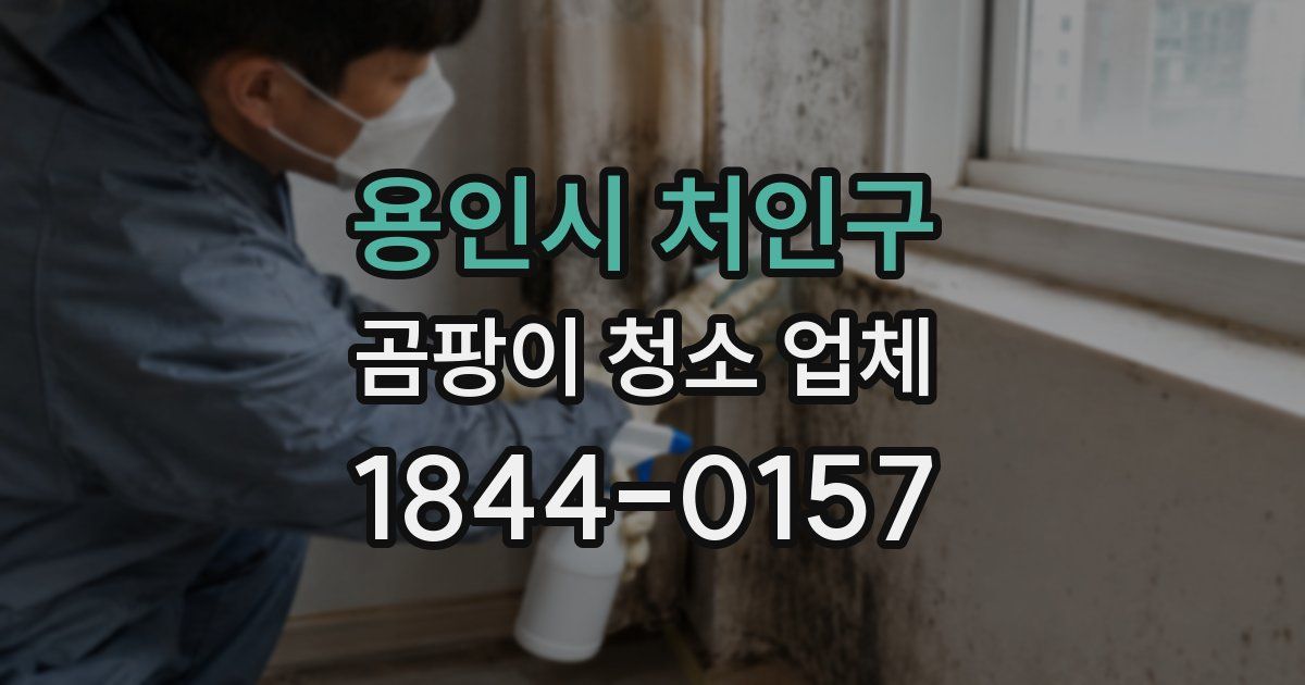 용인시 처인구 곰팡이 청소 업체