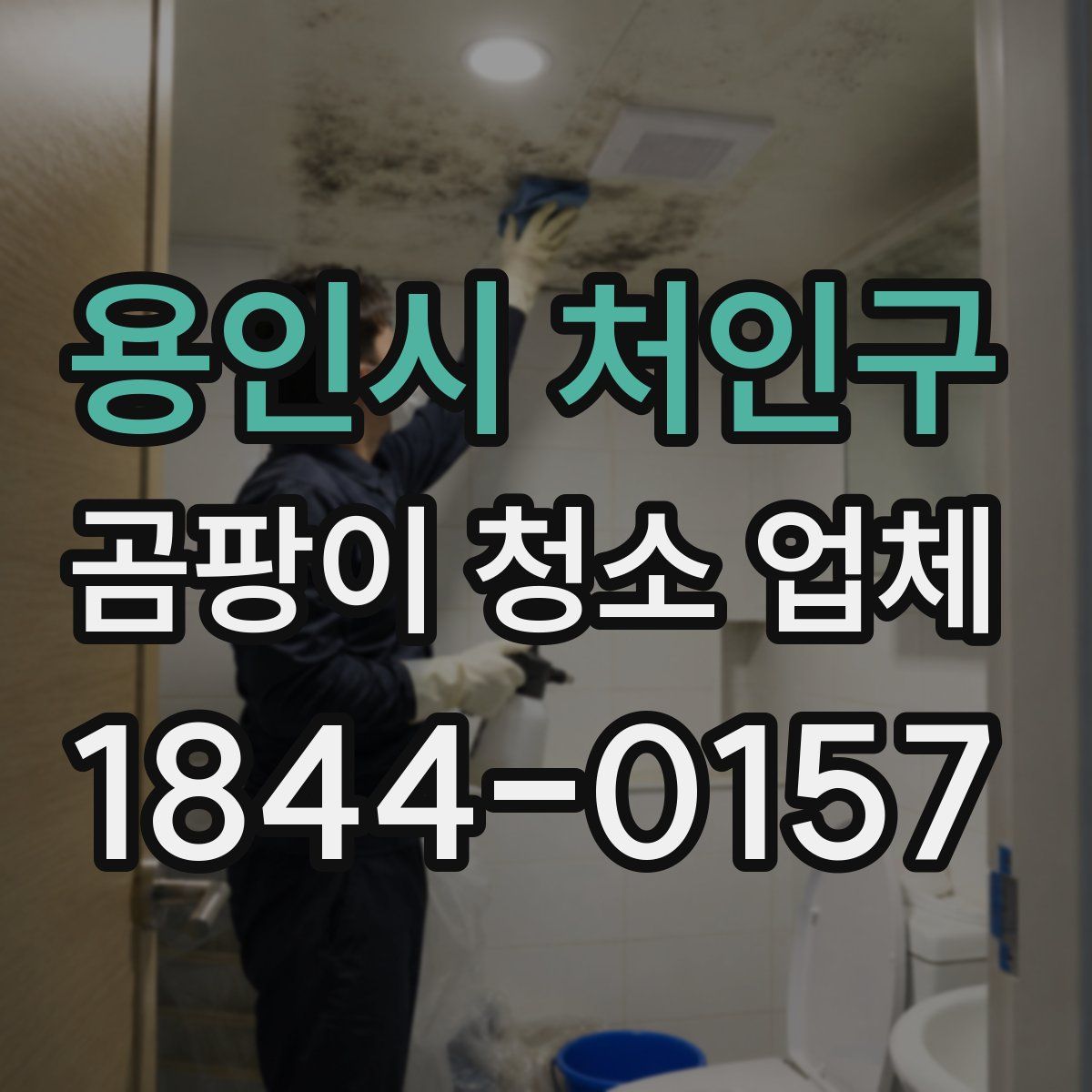 용인시 처인구 곰팡이 청소 업체