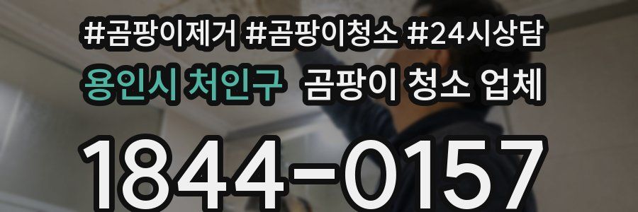 용인시 처인구 곰팡이 청소 업체