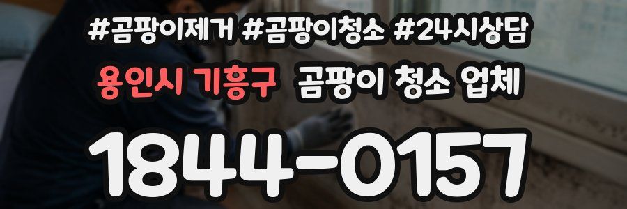 용인시 기흥구 곰팡이 청소 업체
