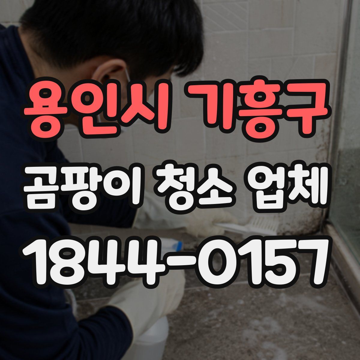 용인시 기흥구 곰팡이 청소 업체