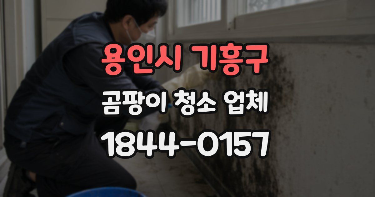 용인시 기흥구 곰팡이 청소 업체