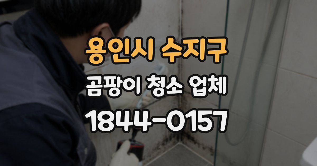 용인시 수지구 곰팡이 청소 업체