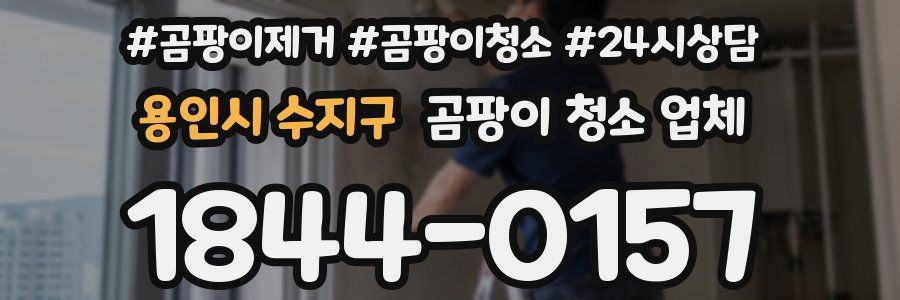 용인시 수지구 곰팡이 청소 업체