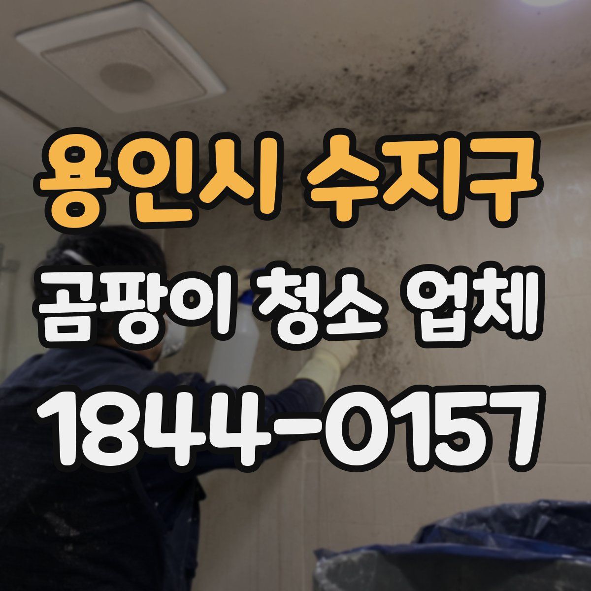 용인시 수지구 곰팡이 청소 업체