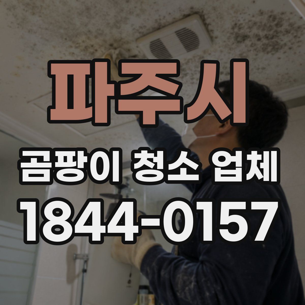 파주시 곰팡이 청소 업체
