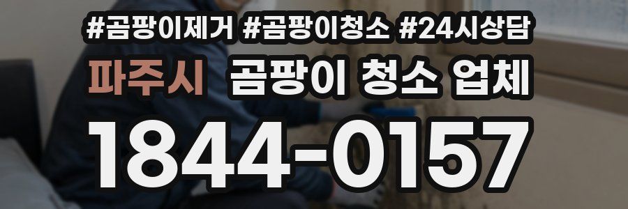파주시 곰팡이 청소 업체