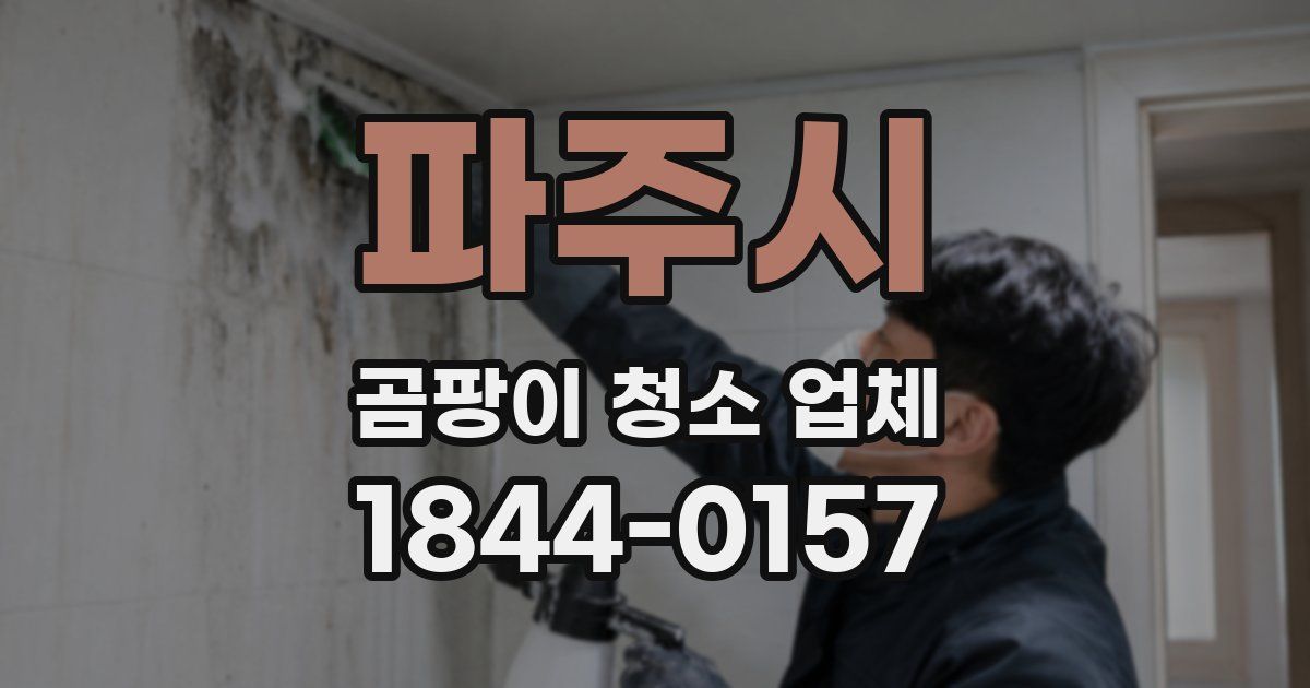 파주시 곰팡이 청소 업체
