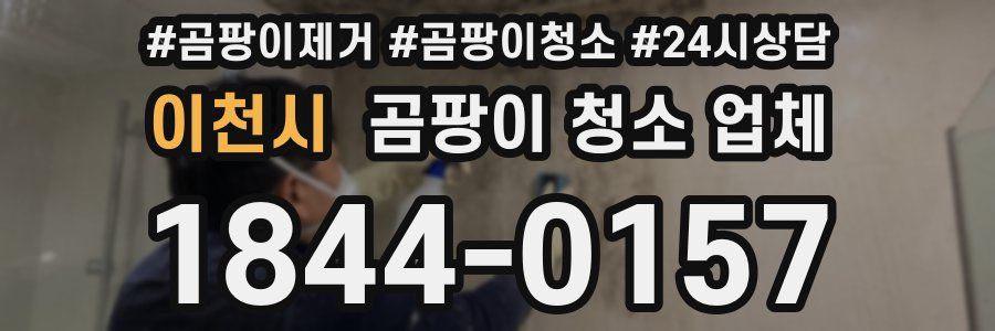 이천시 곰팡이 청소 업체