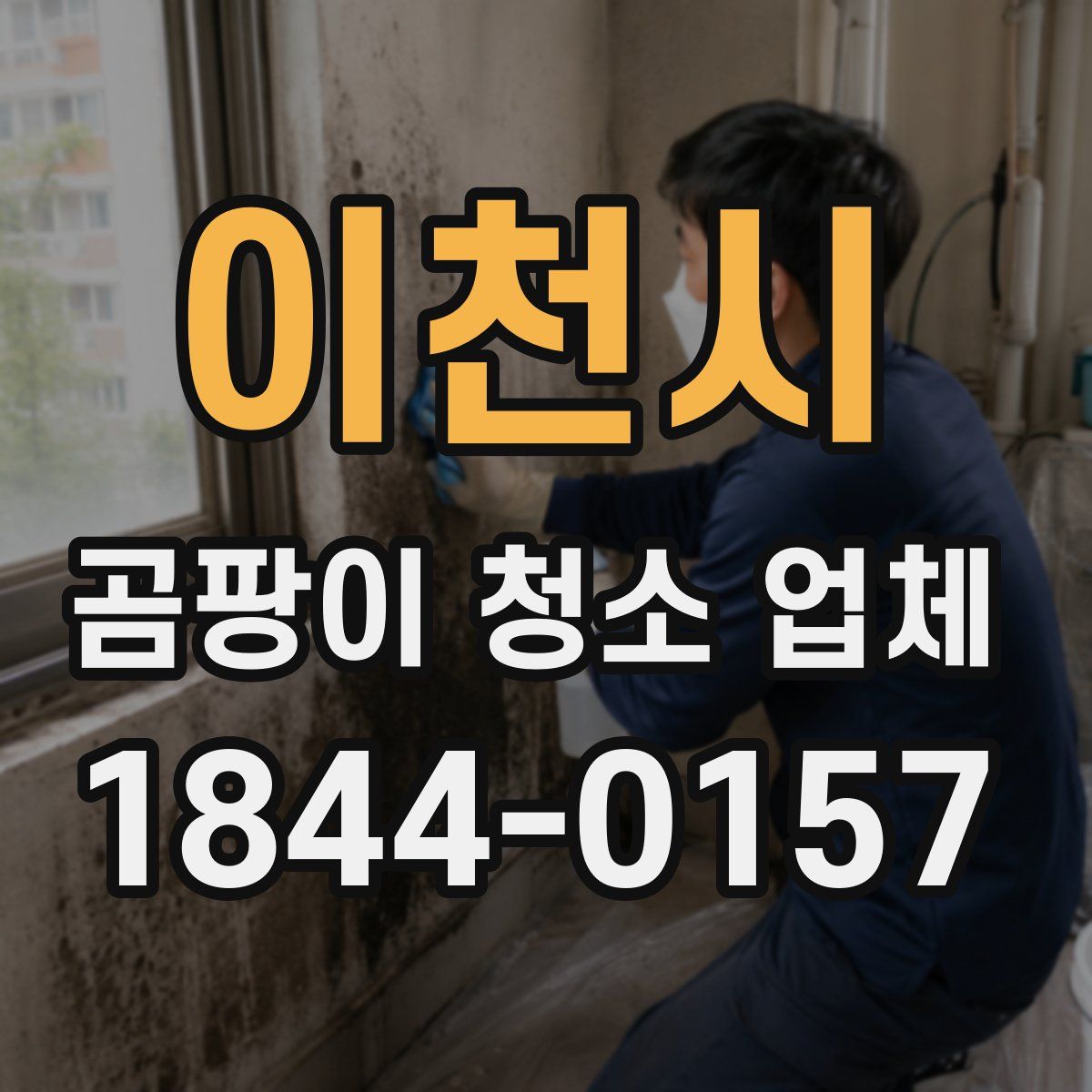이천시 곰팡이 청소 업체